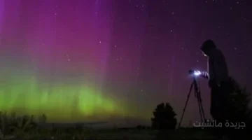 ظاهرة نادرة الليلة.. زخات شهب التنينيات تصل ذروتها وتزين سماء مصر 1